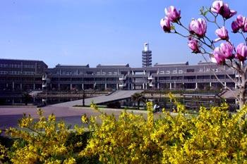 邯鄲哪所學校開設電子商務專業? 邯鄲哪所學校開設電子商務專業?
