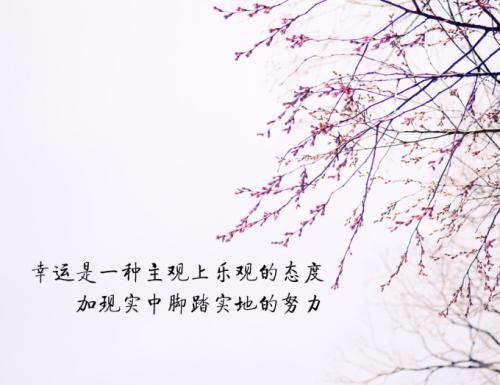 ߿һN---ʲôأɽдЌW(xu)У᣿